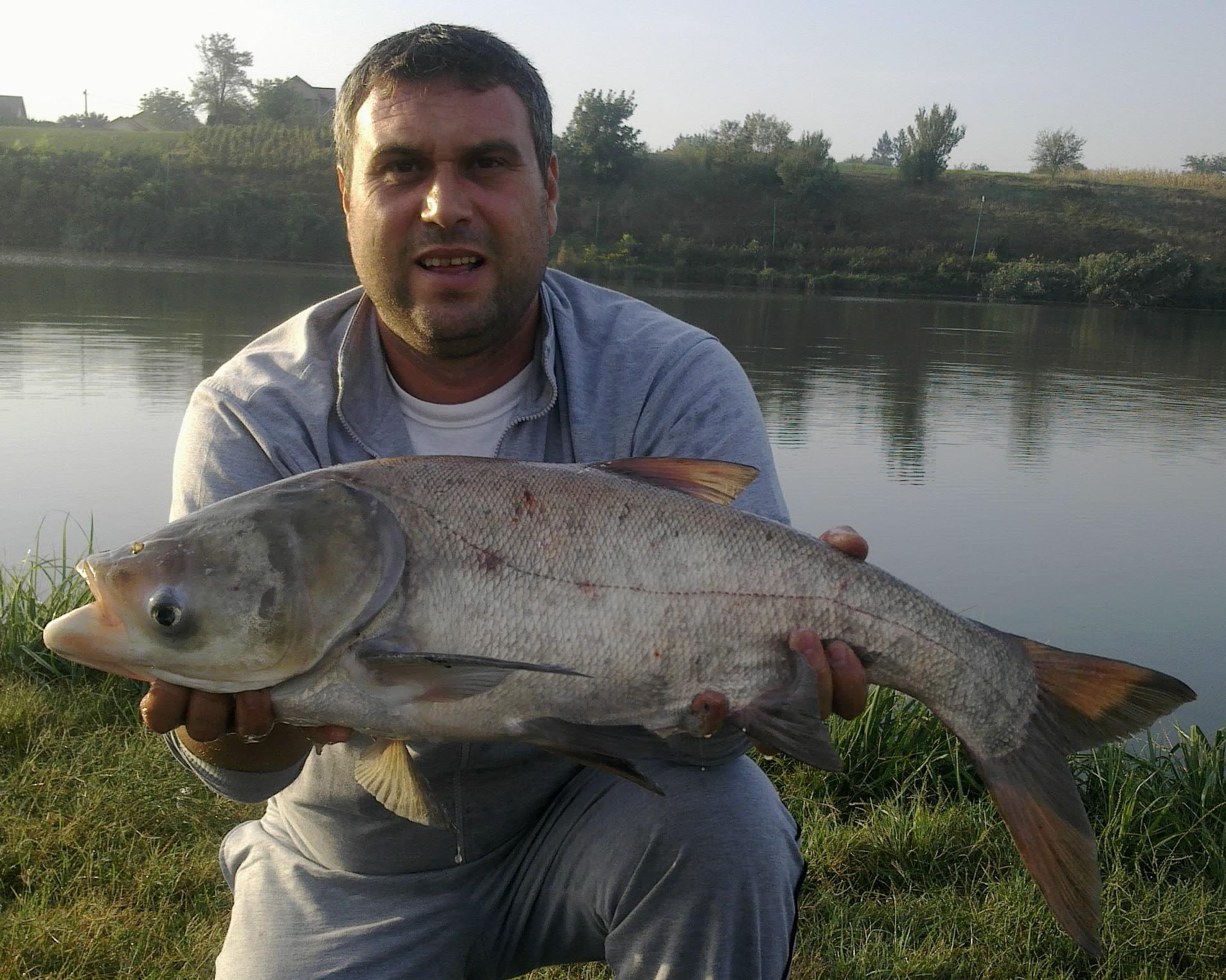 Moara Vlasiei - 30092012689-001.jpg